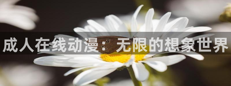 age动漫免费入口